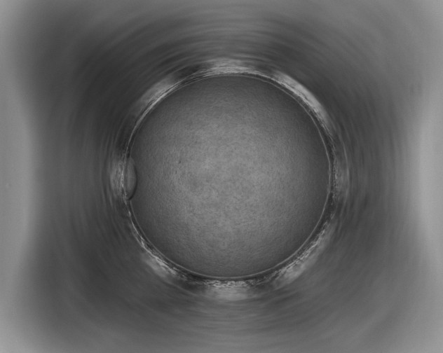 X0000116630809200912181324