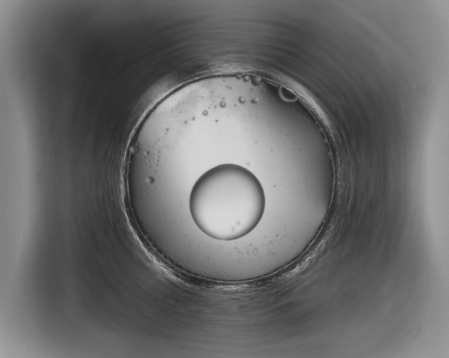 X0000116630810200912181324