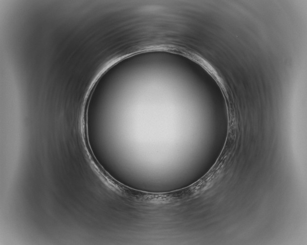 X0000116630811200912181324