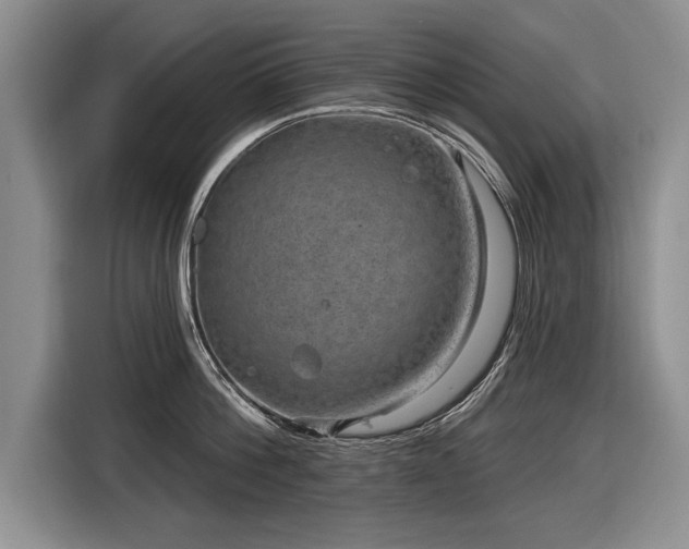 X0000116630812200912181324