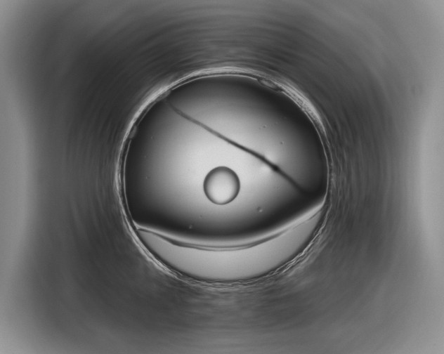 X0000116630813200912181324