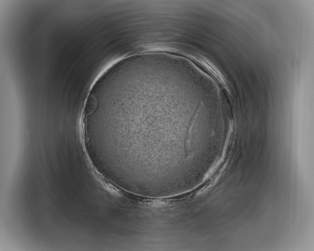 X0000116630814200912181324