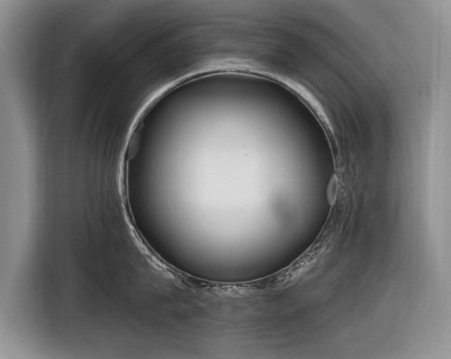 X0000116630815200912181324