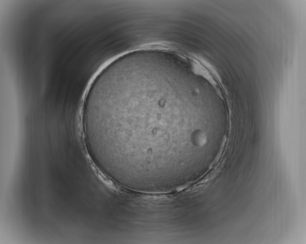 X0000116630816200912181323