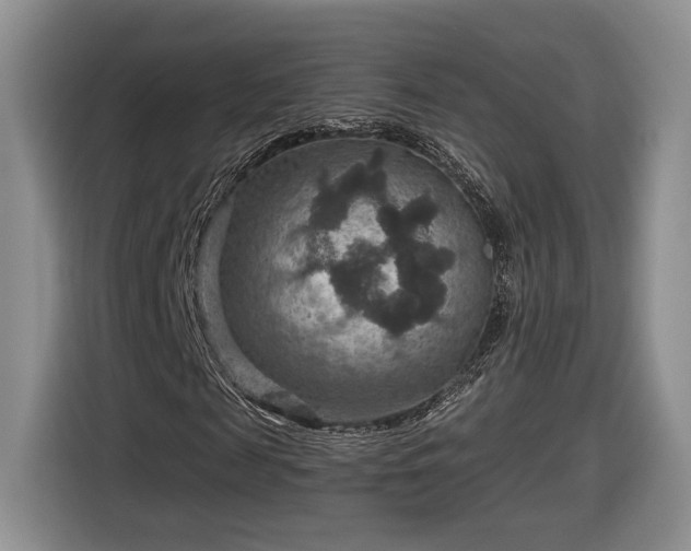 X0000116630817200912181323