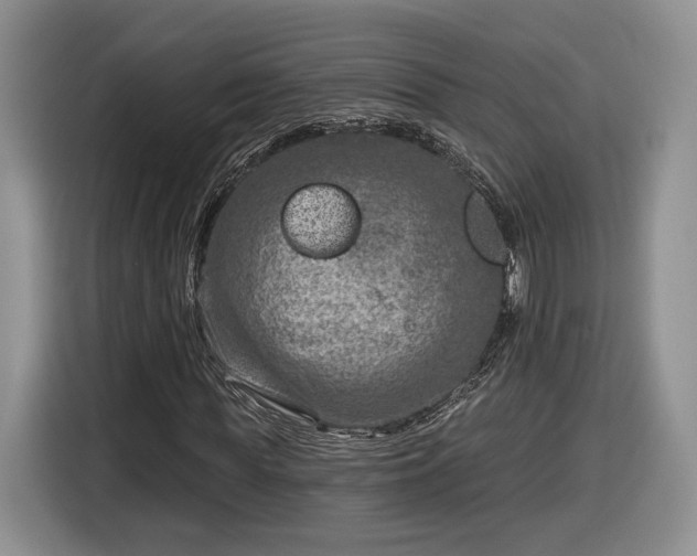 X0000116630819200912181323