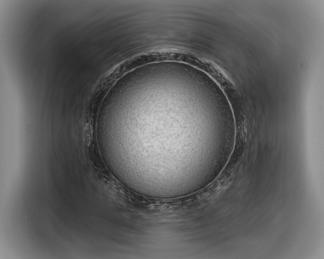 X0000116630821200912181323