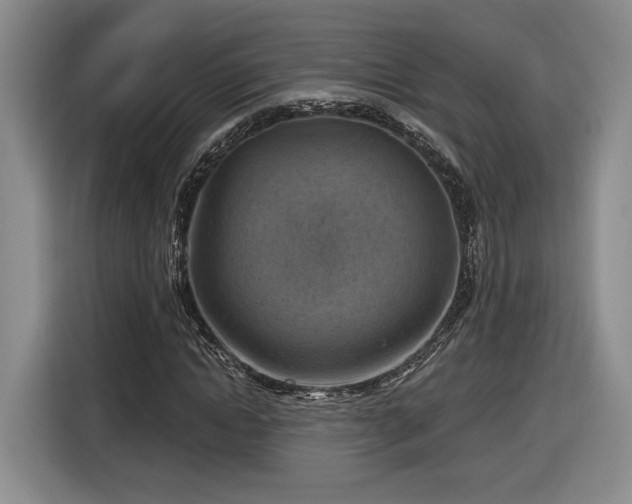 X0000116630822200912181323