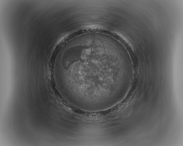 X0000116630823200912181323