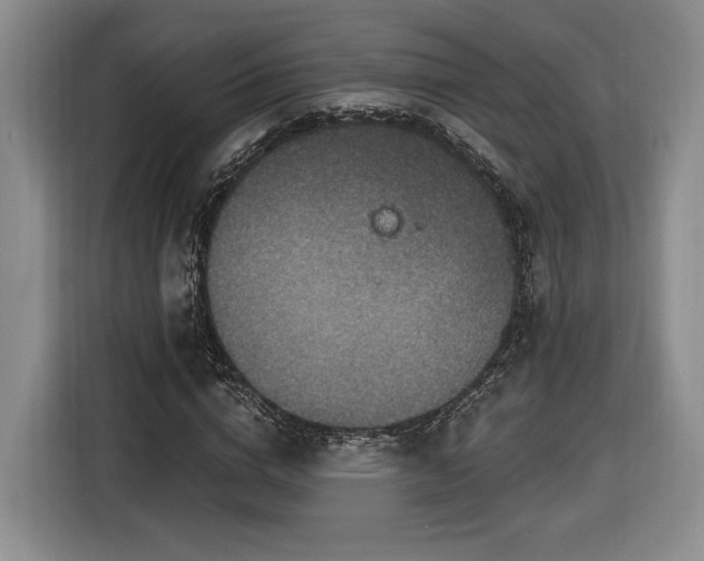 X0000116630824200912181323