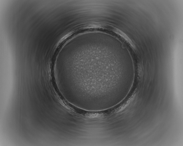 X0000116630826200912181323