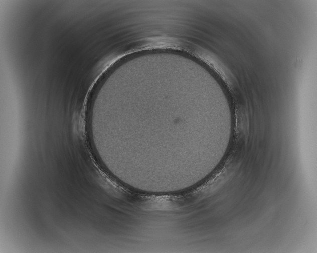 X0000116630828200912181323