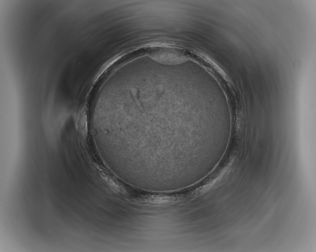 X0000116630829200912181323