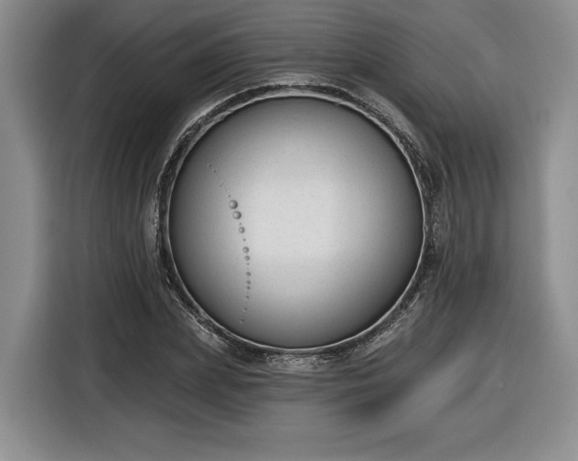 X0000116630831200912181323