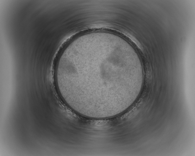 X0000116630832200912181323