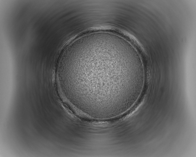 X0000116630833200912181323