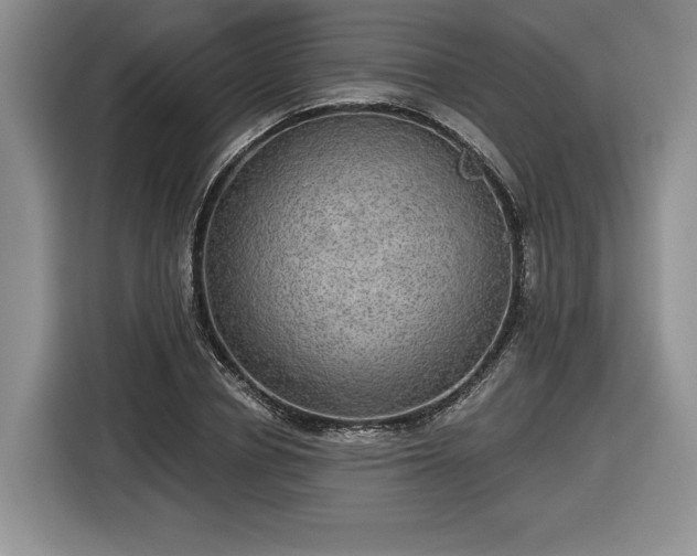 X0000116630834200912181323