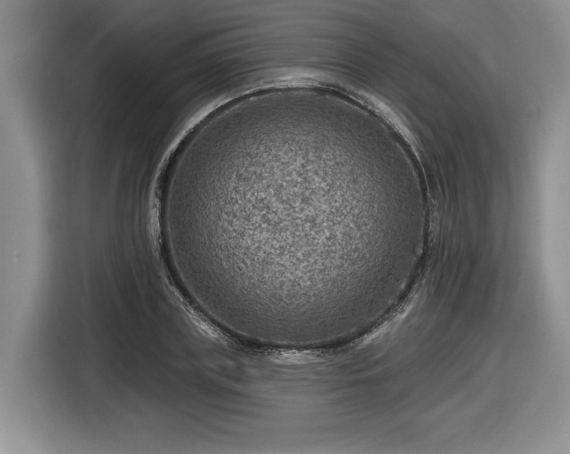 X0000116630835200912181323