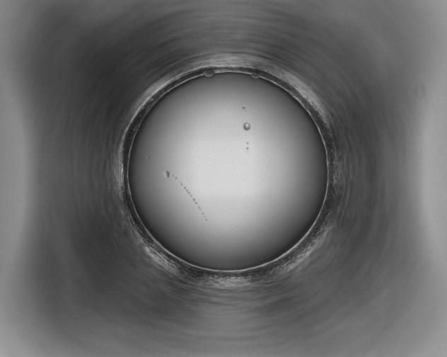 X0000116630837200912181323