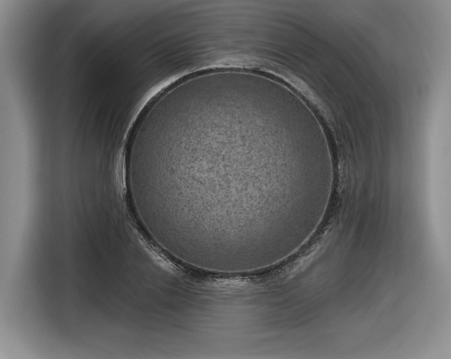 X0000116630838200912181323