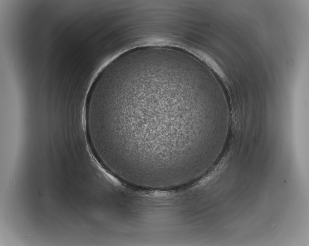 X0000116630839200912181323