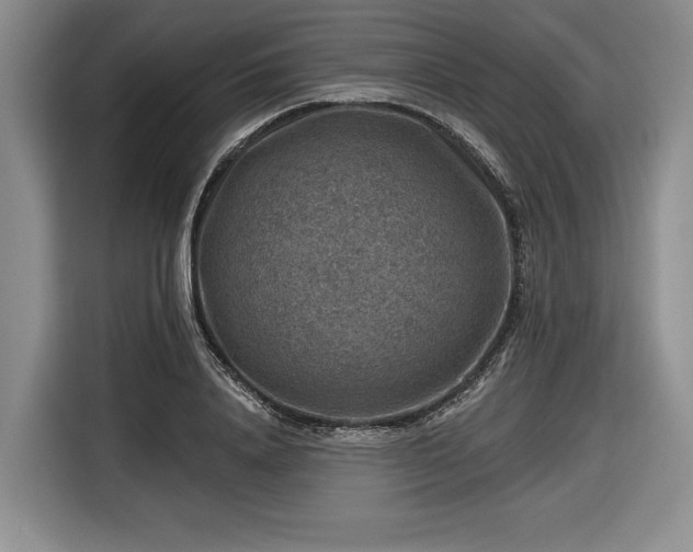 X0000116630840200912181323