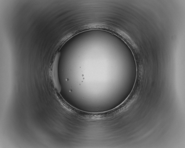 X0000116630841200912181323