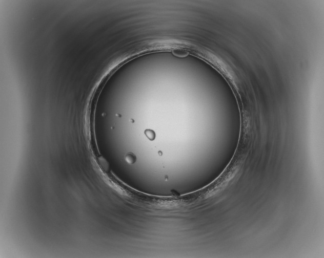 X0000116630843200912181323