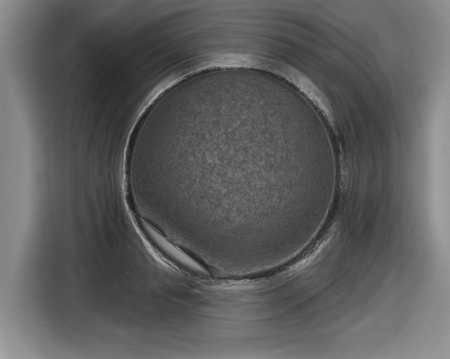 X0000116630845200912181323