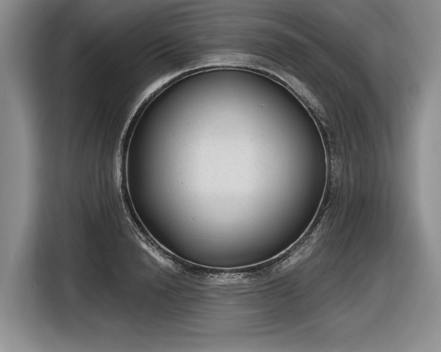 X0000116630846200912181323