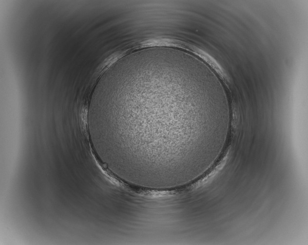 X0000116630849200912181323