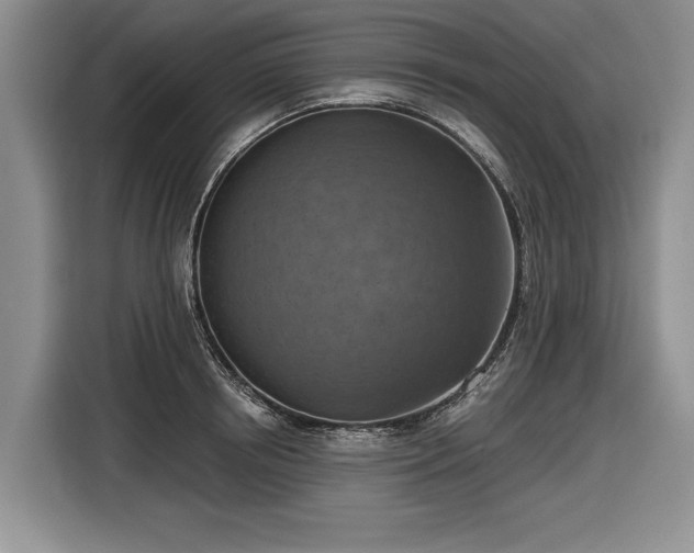 X0000116630850200912181323