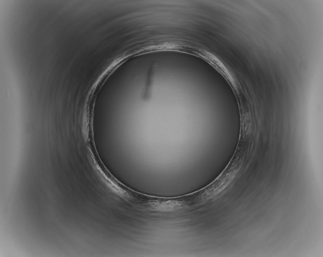 X0000116630851200912181323