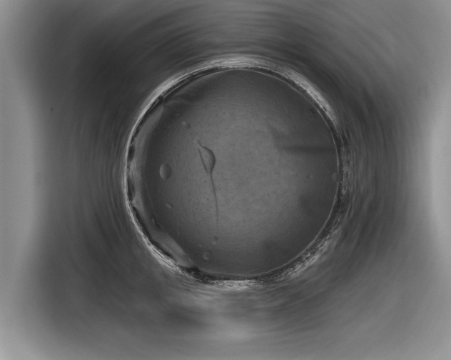 X0000116630853200912181323