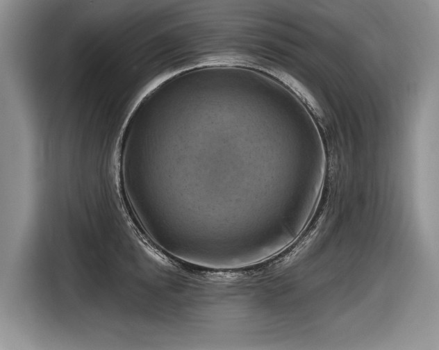 X0000116630854200912181323