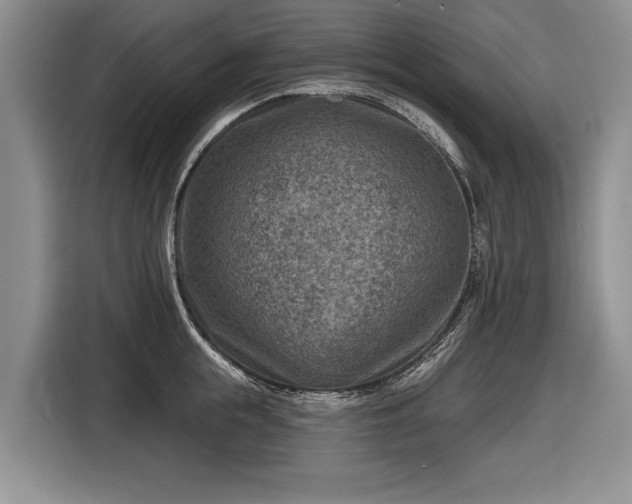 X0000116630855200912181323