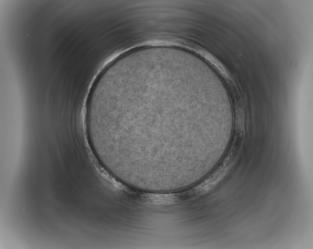 X0000116630856200912181323