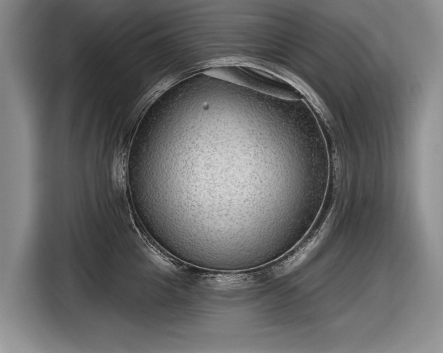 X0000116630857200912181323