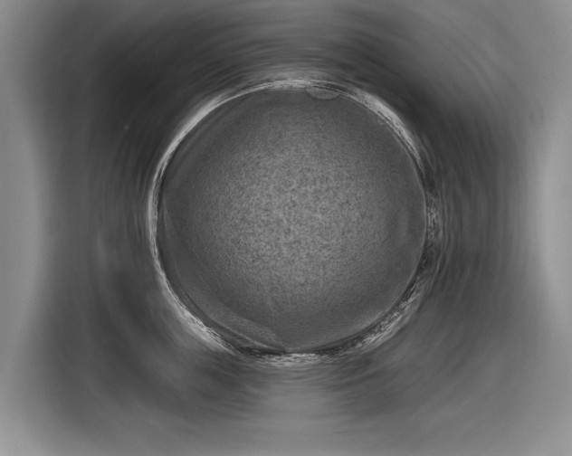 X0000116630859200912181323