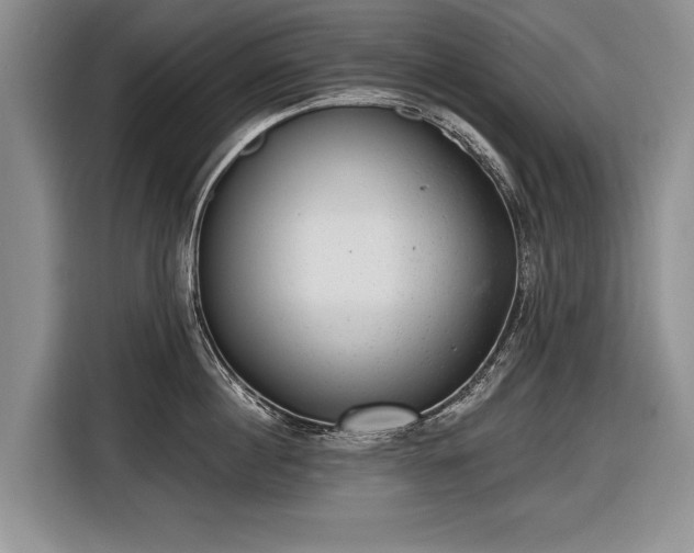 X0000116630860200912181323