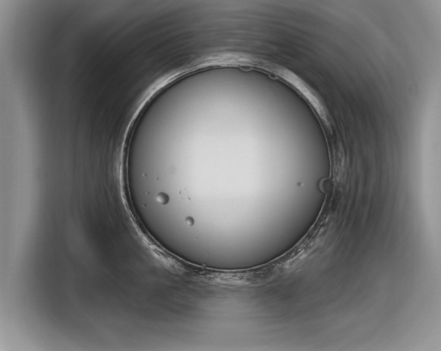 X0000116630861200912181323