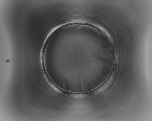 X0000116630862200912181323