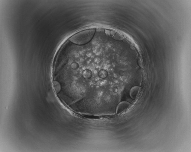 X0000116630863200912181323