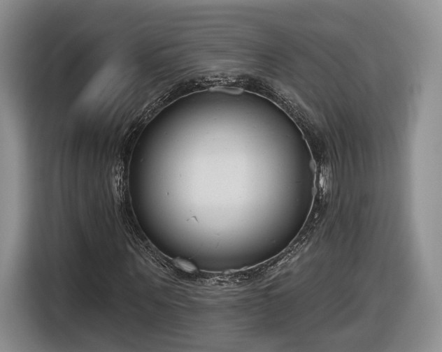 X0000116630867200912181323