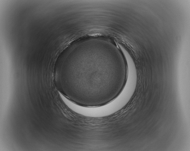 X0000116630868200912181323