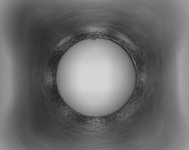 X0000116630869200912181323