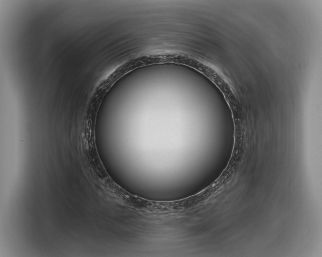 X0000116630871200912181323