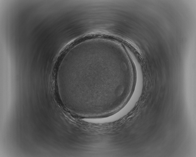 X0000116630872200912181323