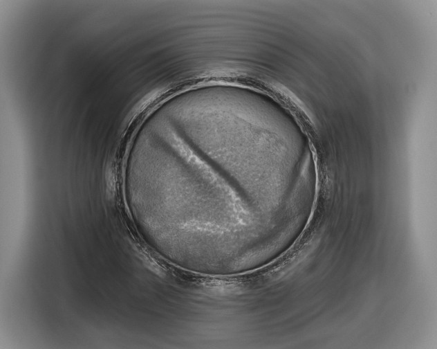 X0000116630874200912181323