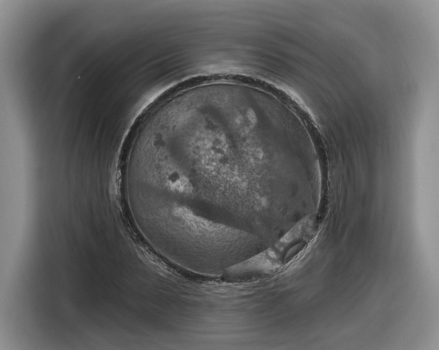 X0000116630879200912181323